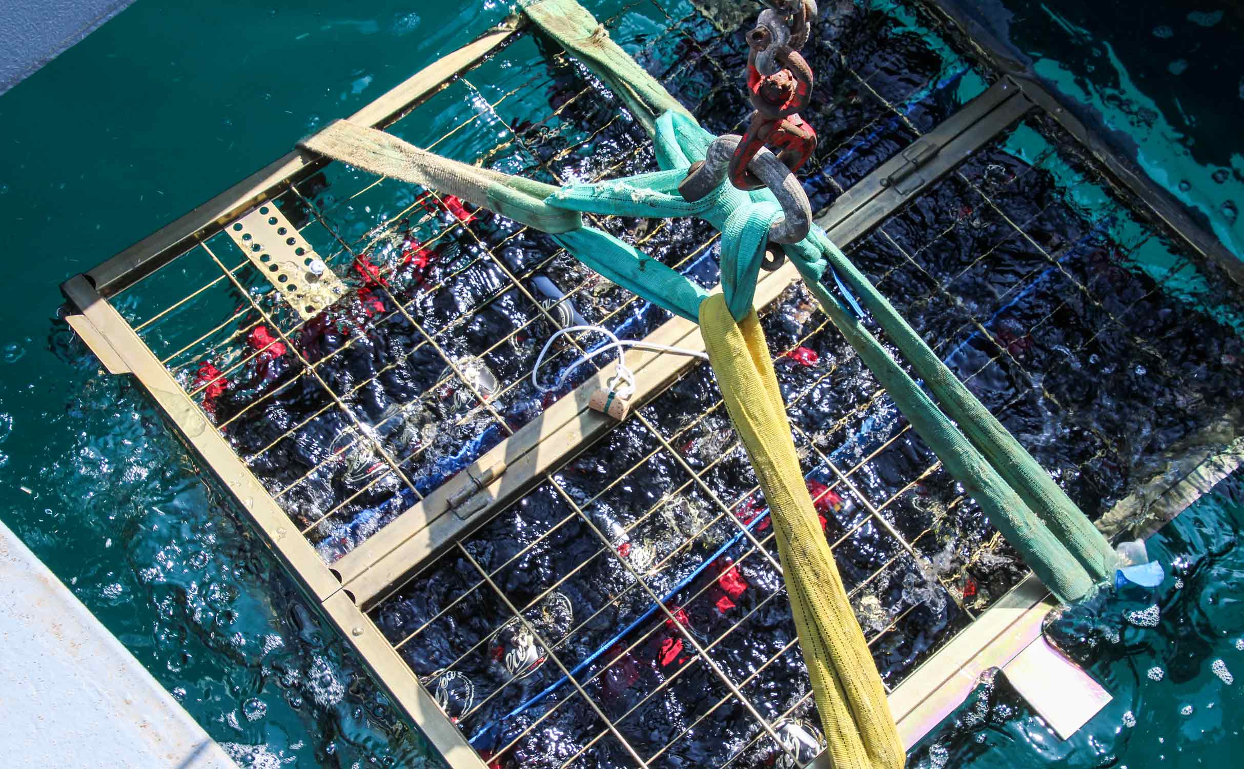 underwater-wine-cage-boat-crane-work