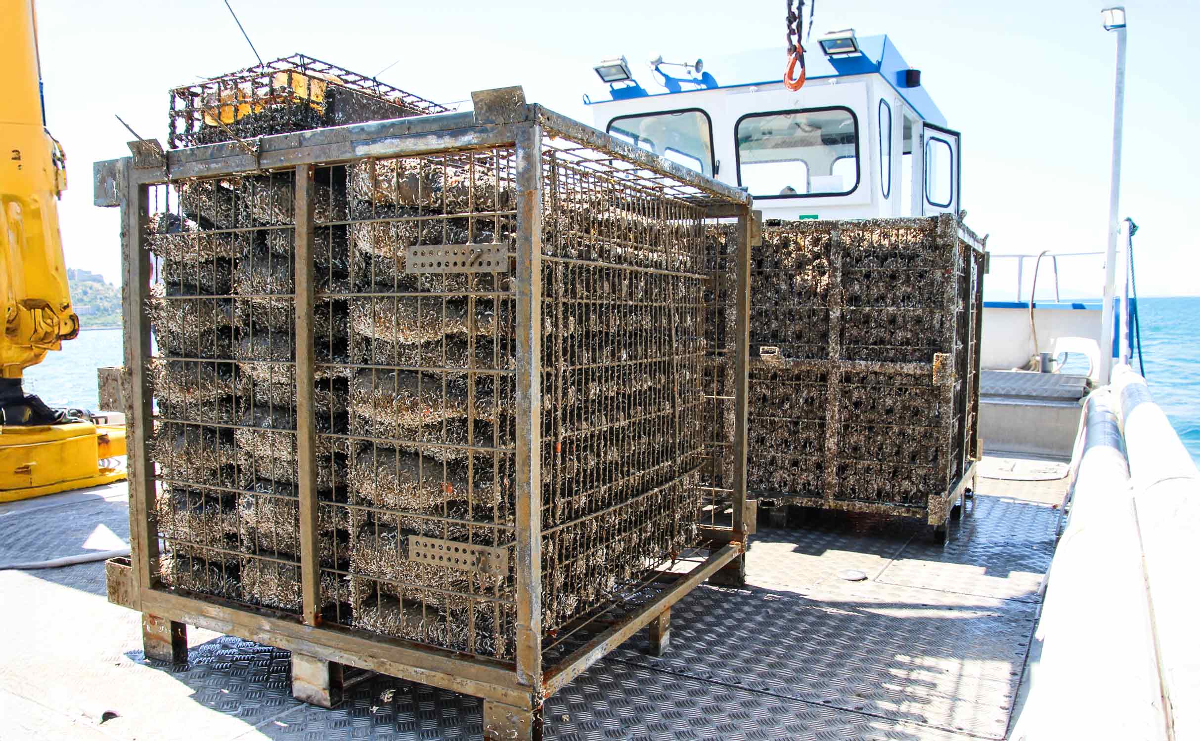 underwater-wine-cages-boat-work